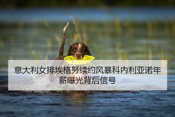 yi-da-li-nv-pai-ai-ge-nu-xu-yue-feng-bao-ke-nei-li-ya-nuo-nian-xin-bao-guang-bei-hou-xin-hao-2-973.jpg